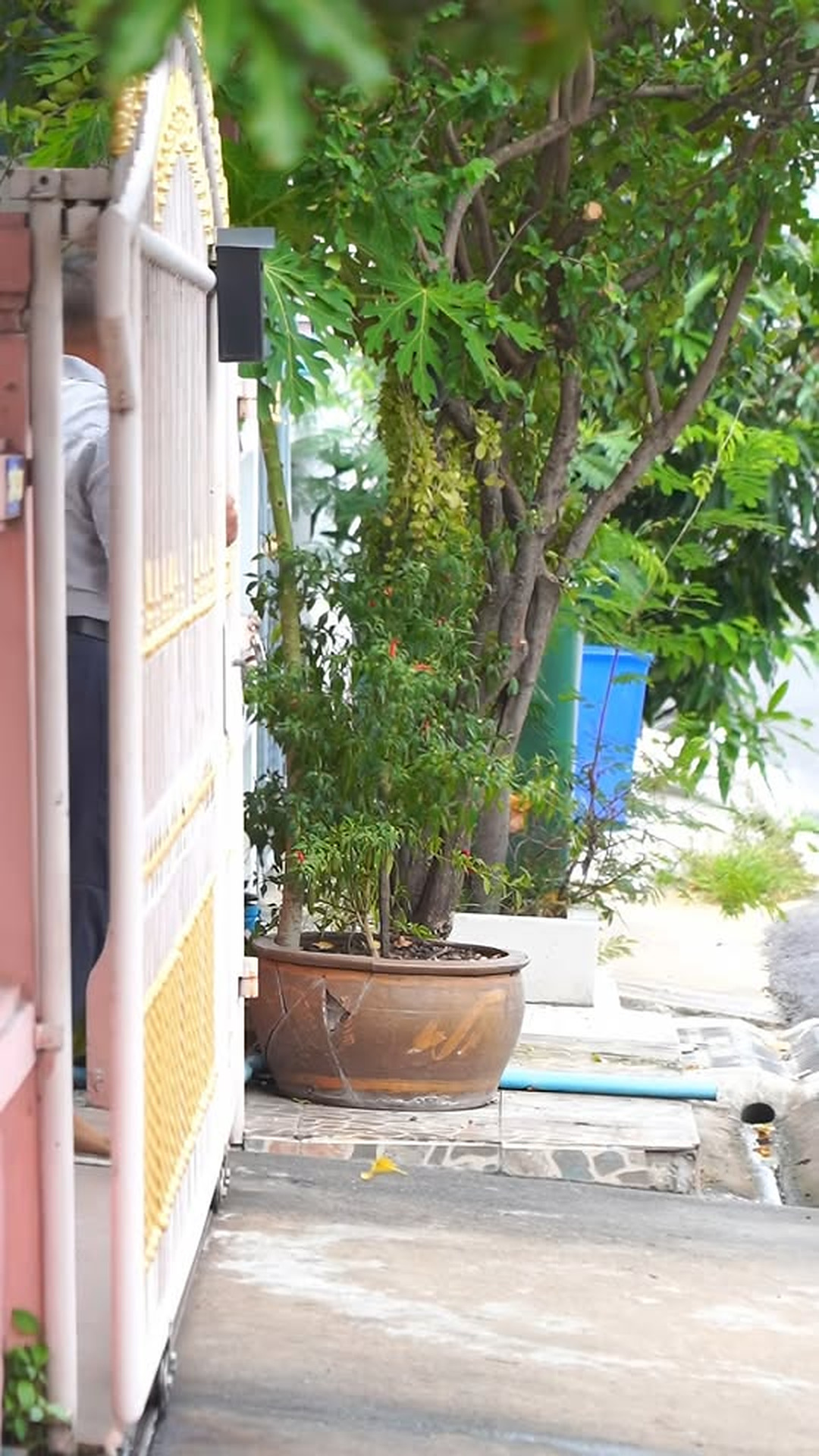 [ครบชุด] T0303212 ขาท แข งแรงค อขาของเราเอง Ep.2